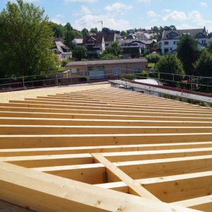 Holzbau