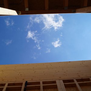 Holzbau